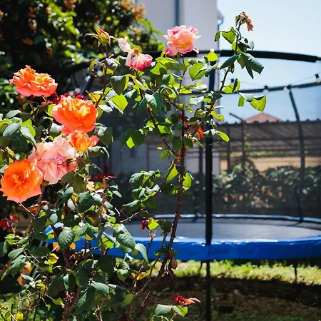 Lovrich Διαμέρισμα *