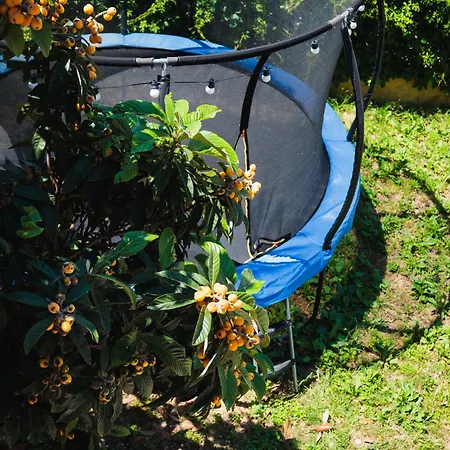 Διαμέρισμα Lovrich