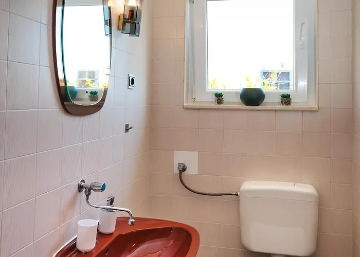 Lovrich * 特罗吉尔