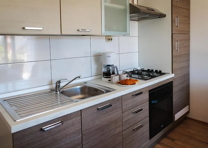 Lovrich * 特罗吉尔